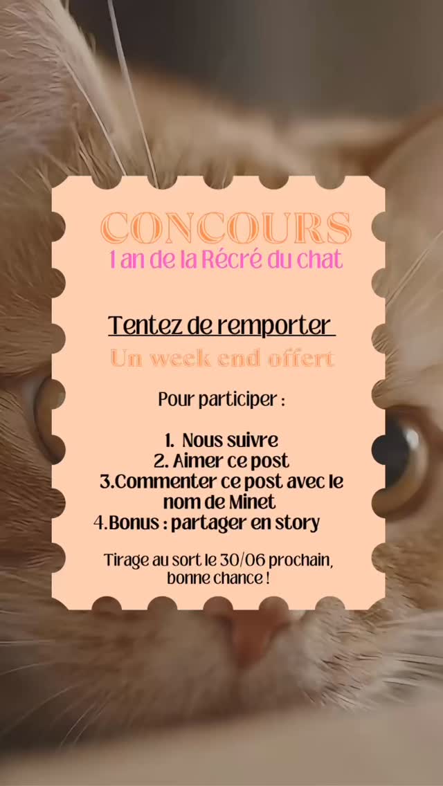 SURPRISE 🥳
Pour notre premier anniversaire, nous vous offrons la possibilité de gagner un week-end pour votre chat ! 🐱
Le lot : 3 jours offerts pour un séjour tout inclus.
Pour participer au tirage au sort, suivez les indications ci-dessus et croisez les moustaches 🤞🐾
Un immense merci pour cette première année à vos côtés. Elle a été tout simplement géniale grâce à votre confiance et à vos adorables compagnons ! 🤩
Bonne chance à tous ! 🍀🐱
#pensionpourchats #hotelpourchats #aixenprovence #cat #chat