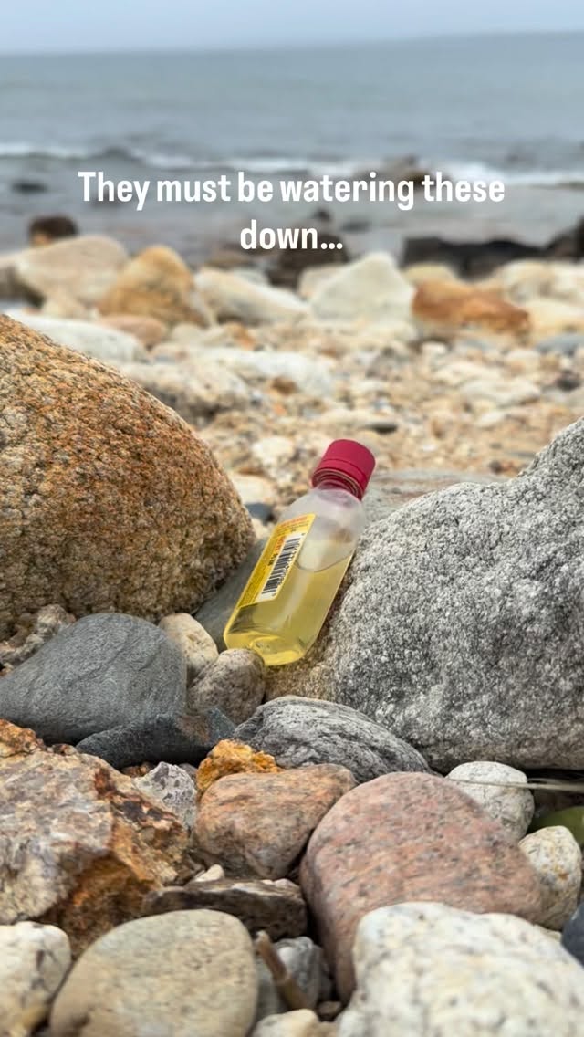 What do you think is in this fireball nip bottle?
