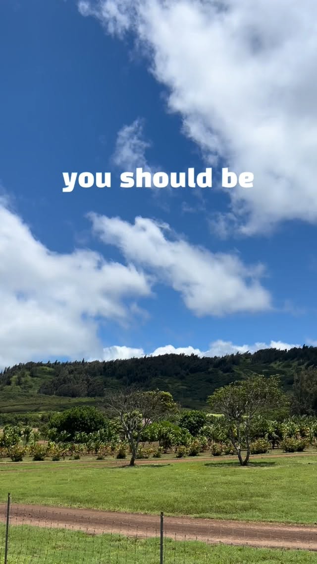 We expect to see you here this week 🫡🤝
OPEN FROM 11AM-6PM DAILY 🗓️
At KUILIMA FARM 📍
#organic #shaveice #oahu #fyp
