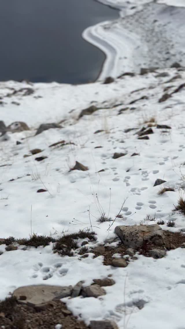 Hay lugares que se visitan... y otros que te cambian para siempre.
“¿Hace cuánto no te sientes realmente vivo?”
.
.
#trekking #chile #adventures #andes #winter