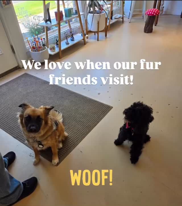 #dogs #furfriends #goodboy
