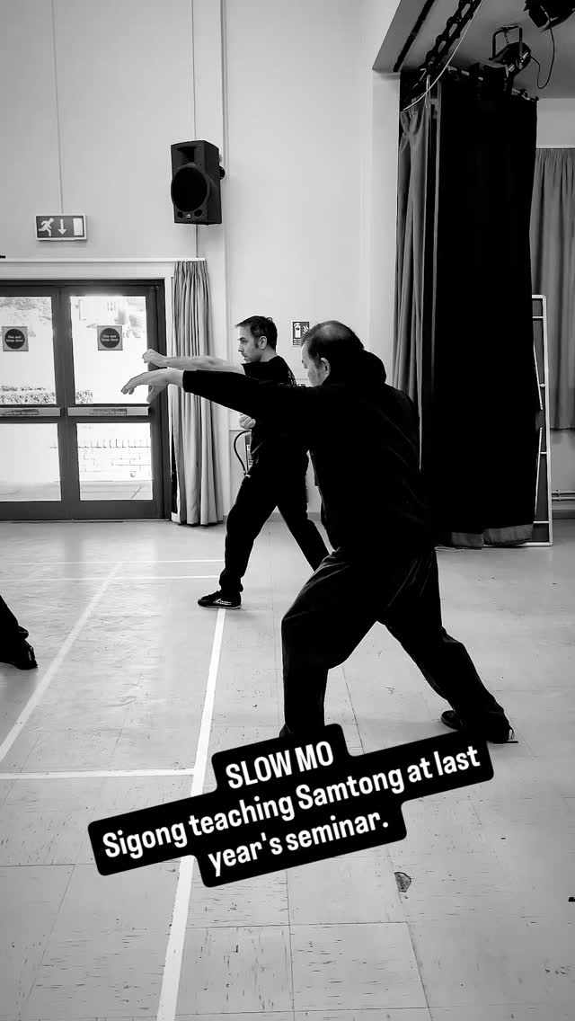 Some super handy slow motion footage of Sigong teaching Samtong at last year's seminar in Wales.
#kungfu #martialarts #dragonkungfu #lungying #sigong