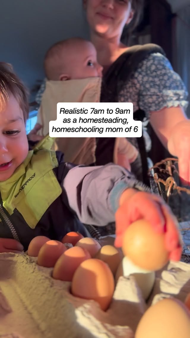 Realistic 7am-9am as a homesteading, homeschooling mom of 6. Did I miss anything? 😂
#homestead #motherhood #farmlife #largefamily #real