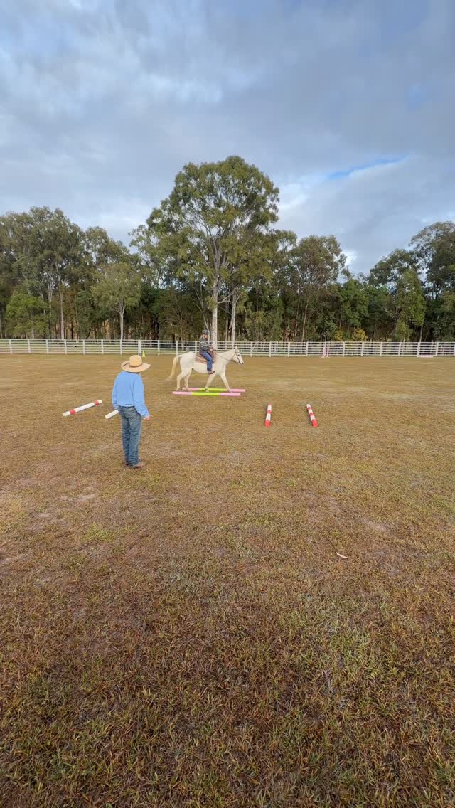 Such a good morning group lesson with Steve Thake 🤩 can’t wait for the next one!
Next Steve Thake lessons held at Horses with Holly facilities is the 25th of June, bookings are essential and limited spots available! Contact Steve Thake training via Facebook messenger to secure your spot 😁
#horseswithholly #stevethaketraining #horseriding #horseridinglesson #western