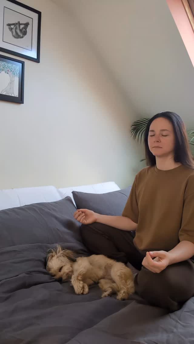 Sit with me for three minutes 🧘🏻♀️🐶
#meditation #summersolstice