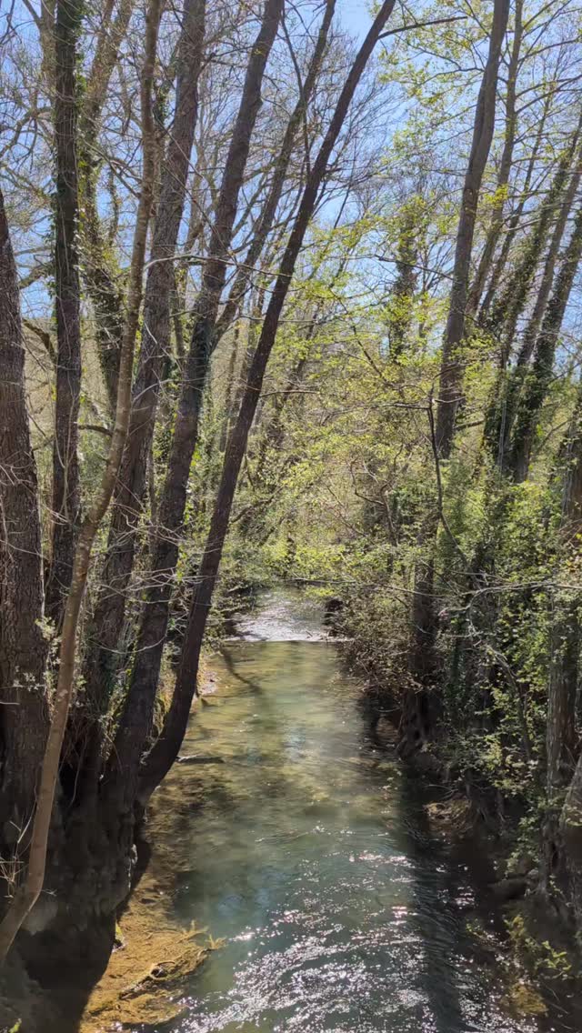 L'entrepreneuriat c'est vraiment un chemin de doute.
Et même bien entouré·e, on se pose toujours un tas de questions.
Chaque jour amène son lot de minuscules ou grands arbitrages.
Mais nous les entrepreneur·ses de la campagne, on a une super ressource : la nature juste à côté.
Pas besoin de prévoir ou de prendre la voiture, on sort de chez soi et on est dans une forêt, un pré à vache, un champ de blé ou une rivière 🌳
Et franchement ça aide énormément à prendre du recul, à souffler, à retrouver sa confiance et son énergie.
Le bruit de la rivière, c'est cadeau 🏞️ !
Toi aussi la nature à portée de pieds t'aide à apaiser les montagnes russes émotionnelles de l'entrepreneuriat ?
Entrepreneuriat • Ruralités • Slow down