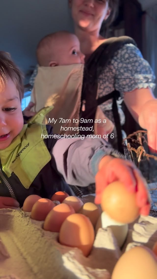 My 7-9am as a homestead, homeschooling mom of 6 ๐ซถ I have seen other people share these videos and enjoy them, my mornings just look a little different ๐
