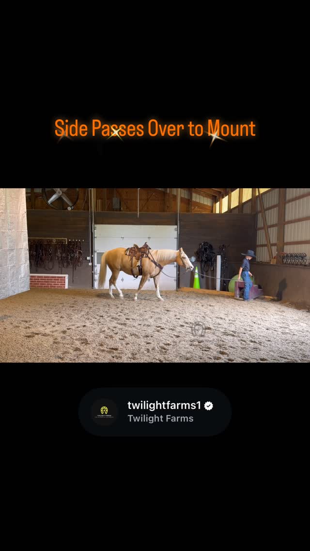 ⨠Safe Enough for the Kids, Talented Enough for Everyone Else â¨
This reel showcases Lyleâs very first ride on Fusion, and from the moment he climbed aboard, Fusion took care of him every step of the way. He calmly side-passed over to the mounting block for an easy mount, happily pushed the ball around the arena, and loped both directions with the same steady, willing attitude he brings every day.
What makes Fusion so special isnât just his trainingâitâs his mind. He is the kind of horse that gives riders confidence. Whether itâs a child learning and having fun, an adult wanting a dependable trail partner, or someone looking for a polished horse with a solid foundation, Fusion adjusts to his rider and always tries to do the right thing.
Having owned Fusion since he was just six months old, weâve had the privilege of developing him every step of the way. Heâs traveled across the country, ridden mountain trails, crossed creeks, driven countless road miles, shown at Congress, and been exposed to more than most horses his age. Through it all, he has remained the same kind, trustworthy, willing gelding.
The smile on Lyleâs face says everything you need to know. â¤ď¸
Fusion isnât just a beautiful palominoâheâs the kind of horse that makes people fall in love with horses.
đ Located in Ohioâ¨đŠ Message us for more information.
#twilightfarms #safehorse #quarterhorse #familyhorse #horseforsale