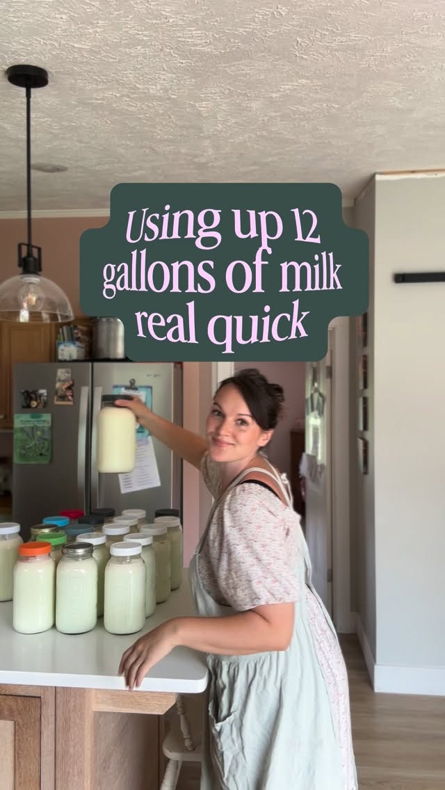 Using up 12 gallon of milk real quick so I can empty jars for milking tomorrow #homestead #country #farm #butter