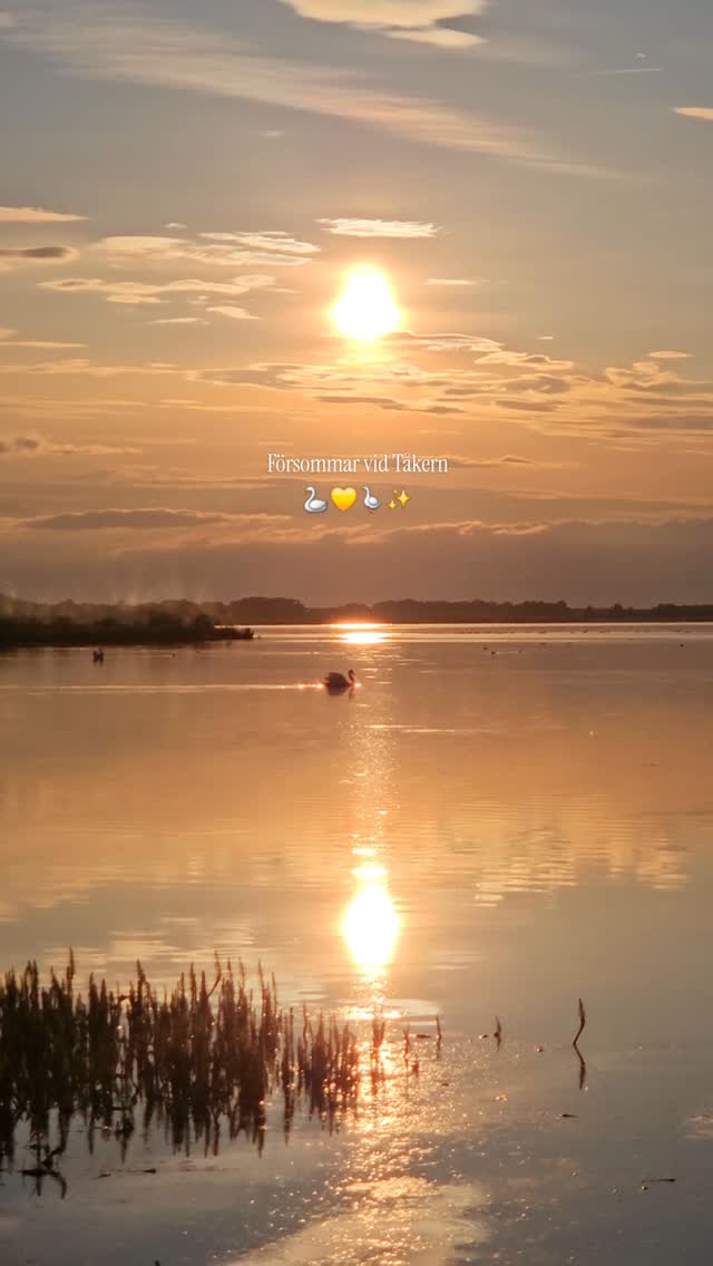 Vissa platser tar andan ur en varje gång.
📍 Tåkern