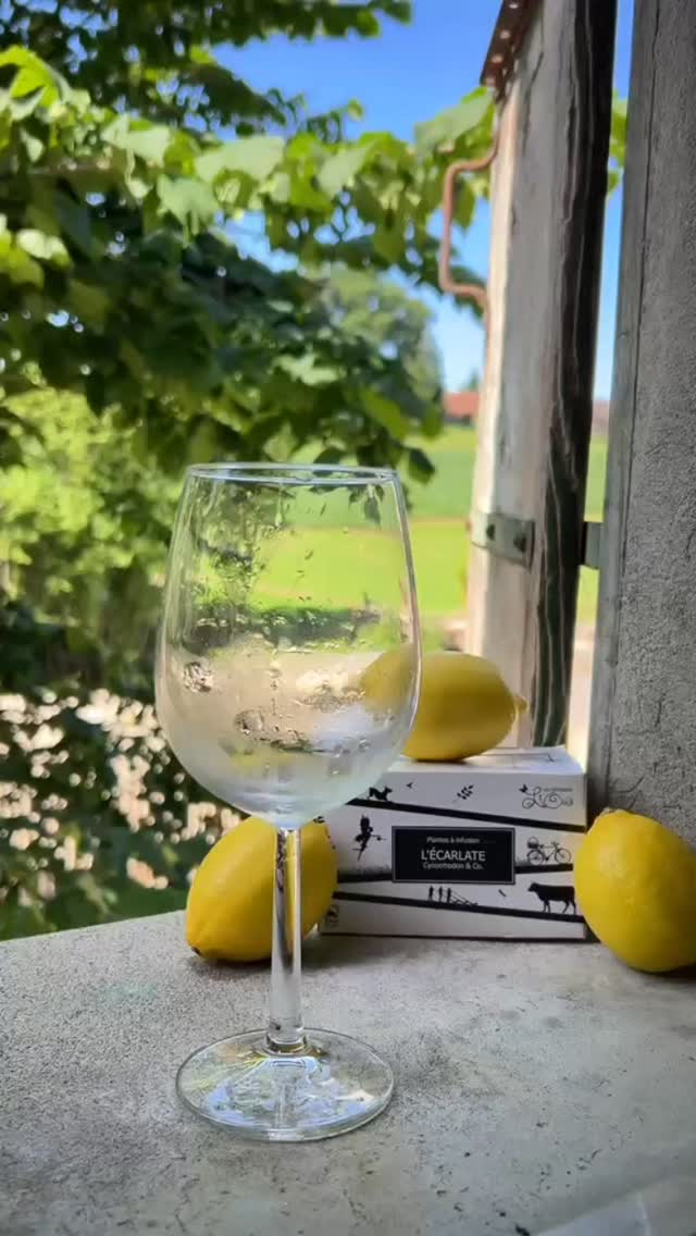 Une recette ultra fraîche pour l’été 🍹☀️
Pour une pause désaltérante pleine de saveurs, vous avez simplement besoin de:
✨ Un joli verre (parce que le plaisir commence aussi avec les yeux 👀)
🧊 Quelques glaçons
🥭 Un trait de sirop de mangue
💧 De l’eau bien fraîche (plate ou gazeuse)
🌺 Une Infusion Lioba « L’écarlate » refroidie au frigo, qui apportera toute sa fraîcheur et ses notes fruitées
Mélangez, dégustez… et laissez l’été s’inviter dans votre verre ☀️
Santé et bel été à tous ! 🌿