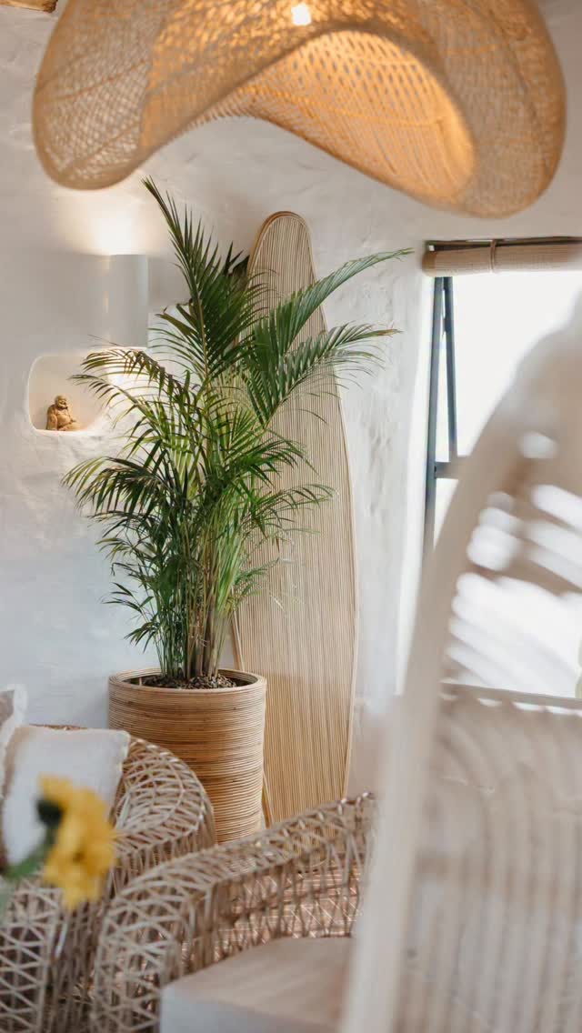 Most of what you see in this reel is available online or in-store. All in-stock items will be dispatched within 24hours.
www.eightdegreessouth.com or visit 10 Stibitz Street, Westlake, Cape Town.
#diningroomdesign #interiordesign #teakfurniture #outdoor #decor