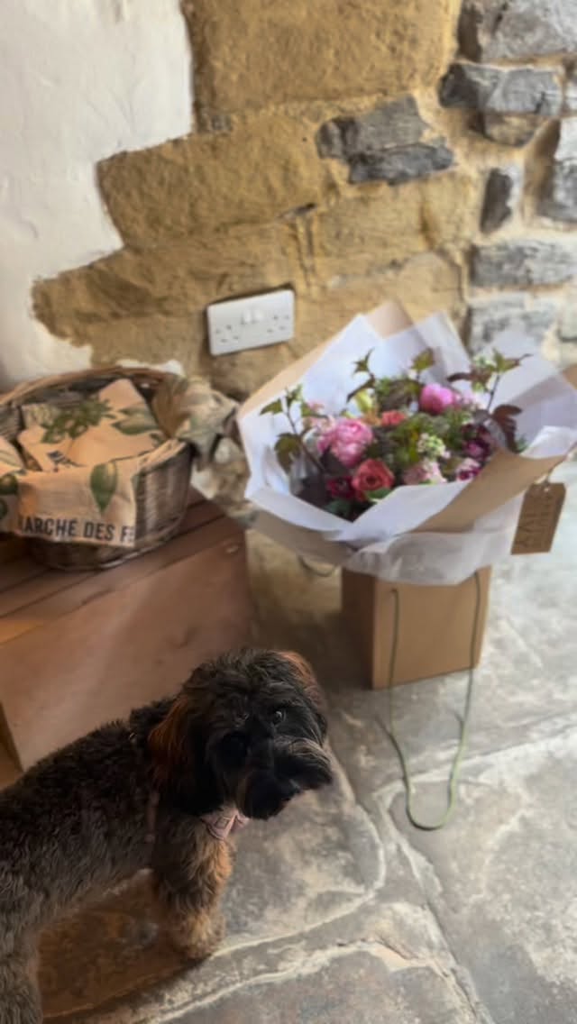 Happy Friday!! The weekend is almost here ✨
Flowers needed? We’d love to help — call us on 07943137907 or order online ☺️
Today is all about wedding quotes 🤍 If your dream wedding flowers are romantic, whimsical and inspired by the English countryside, I’d love to chat with you.
X