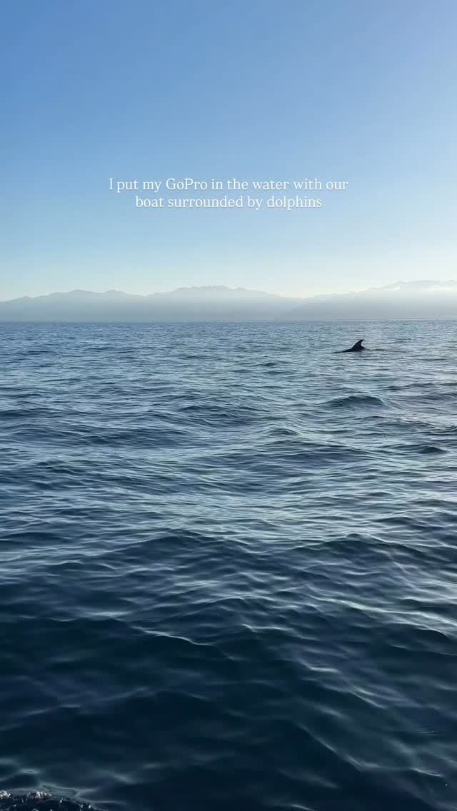 Wait for it…
This day will forever be a core memory
One of those magical ocean moments I’ll never forget🐬🩵
Taken on ocean safari with @saltysoulsfreediving and @aguasaladabcs
#dolphins #freediving #oceanlover #bajamexico #oceansafari
