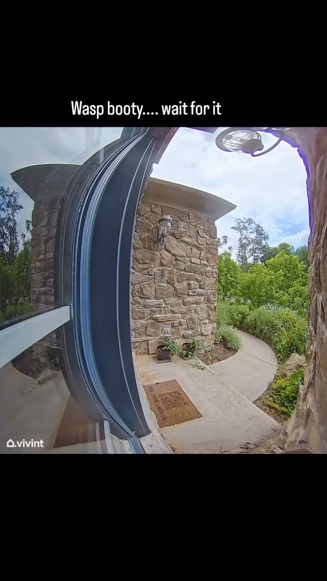 I didnt feel like I needed to see its butt. However I was apparently mistaken.
#vivnt #securitycamera #Wasp #bugbutt #contentcreator