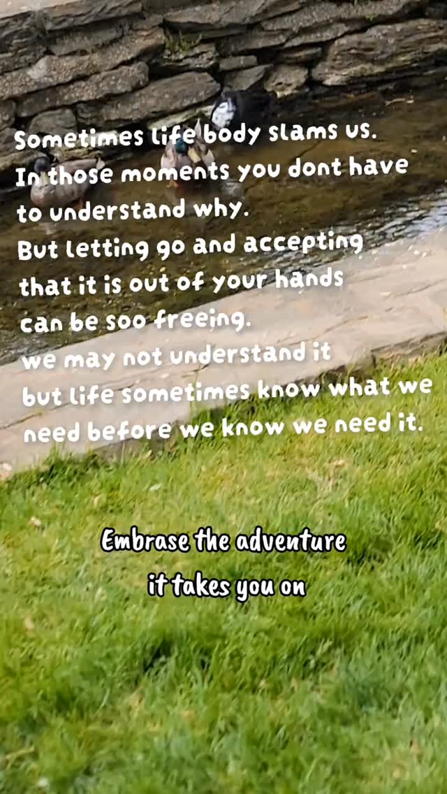 Sometimes we need to stop going at the speed of the world around us and take a moment to breathe.
#positivevibes #nature #motivation #keepgoing
