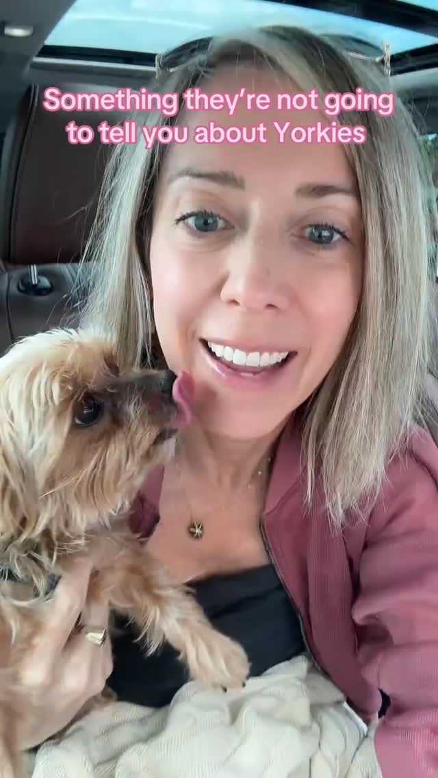 🚨 Yorkie parents… nobody warned us about THIS. 😂🐾
You think you're bringing home a tiny dog…
Then suddenly you have a full-time supervisor, a security guard, a food critic, and someone who has VERY strong opinions about absolutely everything. 😅
Honestly, life before a Yorkie and life after a Yorkie are two completely different worlds.
And somehow, these tiny little dogs manage to completely take over our hearts (and our houses) without us even realizing it. ❤️
👇 Tell me I'm not alone…
What's one thing your Yorkie does that nobody prepared you for?
I have a feeling this comment section is about to be VERY entertaining. 😂🐾
Tag another Yorkie parent who will understand.
#YorkieLife #JoshuaTheYorkie #YorkiesOfTikTok #YorkieMom #YorkshireTerrier #YorkieParents #DogMomLife #YorkieCommunity #SmallDogBigPersonality #YorkieLove #DogParents #ReneeRuthMusic