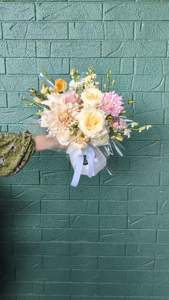 Some bouquets whisper.
This one sings. 🌸✨
Soft, romantic pastels layered with unexpected pops of vibrant poppies create the perfect balance of elegance and personality. Paired with matching bridesmaids' bouquets, the whole collection comes together in the most beautiful way.
Designed to feel timeless, but never ordinary. 🤍
Every bouquet we create is custom made to tell your story, because your wedding flowers should be just as unforgettable as the day itself.
Venue: @albertriverwines
#WeddingFlorist #BridalBouquet #BridesmaidsBouquets #PastelWedding #QueenslandWedding