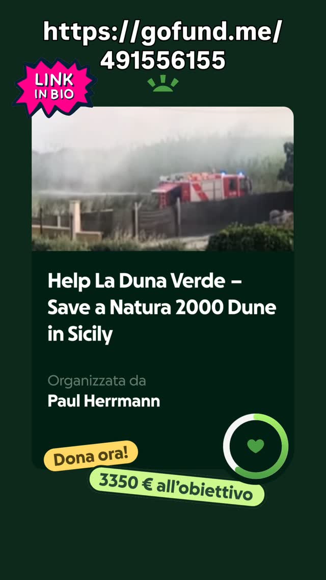 https://gofund.me/491556155
Help us! 🙏
www.ladunaverde.jimdofree.com