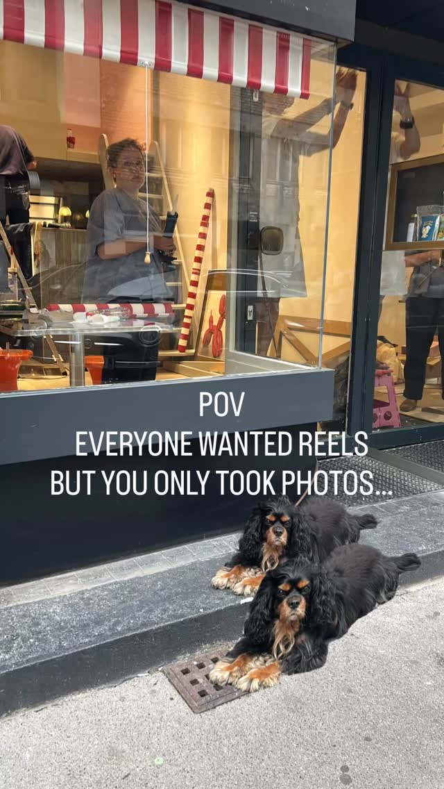 We’ve been so busy with getting our first gut health club location busy there was no time to take „pretty“ content ✨ we’re still determined to let you be a part of the process 🐶✨ COMING VEEERY SOOON
#wienliebe#1000thingstodoinvienna#1000placestoseeinvienna #darmgesundheit #guthealth
