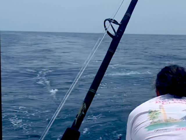 Marlin Fly Bite!!! This was on a re-tease. We broke the tippet on the first run. But it’s all about the bite.