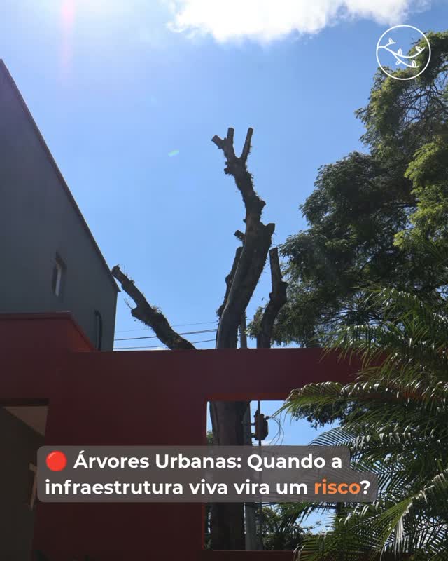 O manejo de espécimes arbóreos em áreas urbanas e canteiros de obras exige fundamentação técnica e estrito cumprimento do rito legal. Quando o crescimento biológico compromete a integridade física de estruturas ou há risco fitossanitário de queda, a intervenção torna-se uma medida de segurança necessária.
Em Sorocaba, esses procedimentos são rigorosamente regulamentados pela Lei Municipal nº 4.812/1995. A execução de podas drásticas ou supressões sem a prévia autorização da Secretaria de Meio Ambiente (SEMA) configura infração ambiental, sujeita a sanções administrativas e multas pesadas.
O que o empreendedor precisa saber:
Viabilidade de Projetos: Para novos empreendimentos, a obtenção da anuência para corte depende da comprovação técnica da impossibilidade de adequação do projeto arquitetônico ao traçado da vegetação existente.
Rito Processual: Toda a instrução documental e os laudos técnicos devem tramitar de forma oficial pelo sistema Agenda Verde.
Segurança Jurídica: Evite embargos no cronograma da sua obra ou passivos jurídicos desnecessários.
A NAAtiva®️ realiza o diagnóstico de campo, o inventário florestal qualiquantitativo e a elaboração de laudos fitossanitários com a precisão exigida pelos analistas ambientais, garantindo a conformidade dos atos autorizativos.
👇 Precisa de uma visita técnica para avaliação in loco?
Encaminhe sua demanda para nossa equipe técnica através do link na bio.
#consultoriaambiental #licenciamentoambiental #biologo #saopaulo #sorocaba