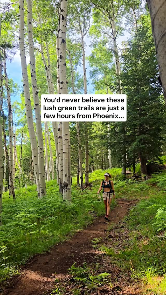 Save these hikes for your next weekend day trip!💌🫶
Kachina Trail📍 | Flagstaff
🥾10.7miles
⛰️1515ft elevatuon gain
🚻 No bathrooms
🐶 Dog friendly
🅿️ Free parking
*I hace never done the whole thing. It is beautiful in any season!!
Four Springs Trail📍 | Pinetop-Lakeside
🥾3.6miles
⛰️157ft elevation gain
🚻 No bathrooms
🐶 Dog friendly
🅿️ Free parking
*Pinetop is one of my favorite summer destinations! It is the cutest mountain town
Horton Creek📍 | Payson
🥾8.9miles
⛰️2450 Elevation gain
🚻 No bathrooms
🐶 Dog friendly
🅿️ Free Parking
*Most of the elevation is at the very end, I didnt even do it but if you go far enough there is a spring coming from the ground you can fill up your water from!
This and more weekend travel itineraries:
LittleRedTravels.com💻
Link in bio🩵🩵🩵