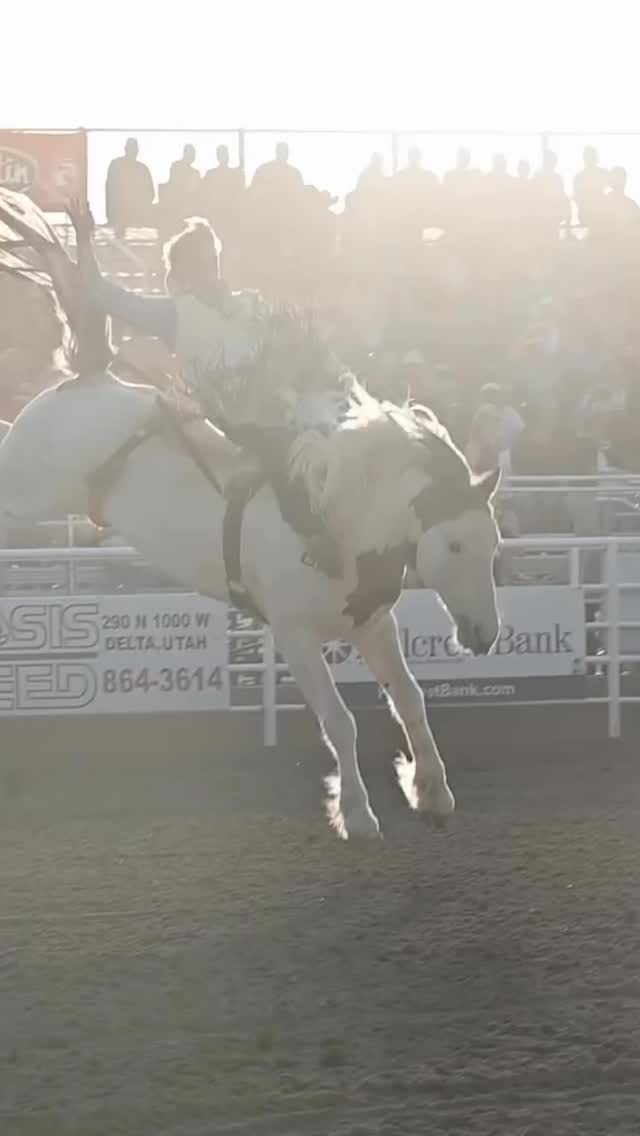 From pasture to performance – @agri_bestfeeds delivers nutrition that works.
Healthy! Powerful! Proven 💪
#rodeolife #livestocknutrition #betternutritionsuperiorperformance #sweetpro #agribestfeeds
