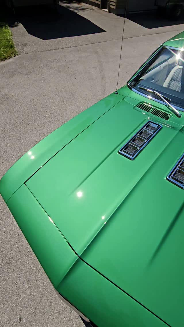 Money green 💰