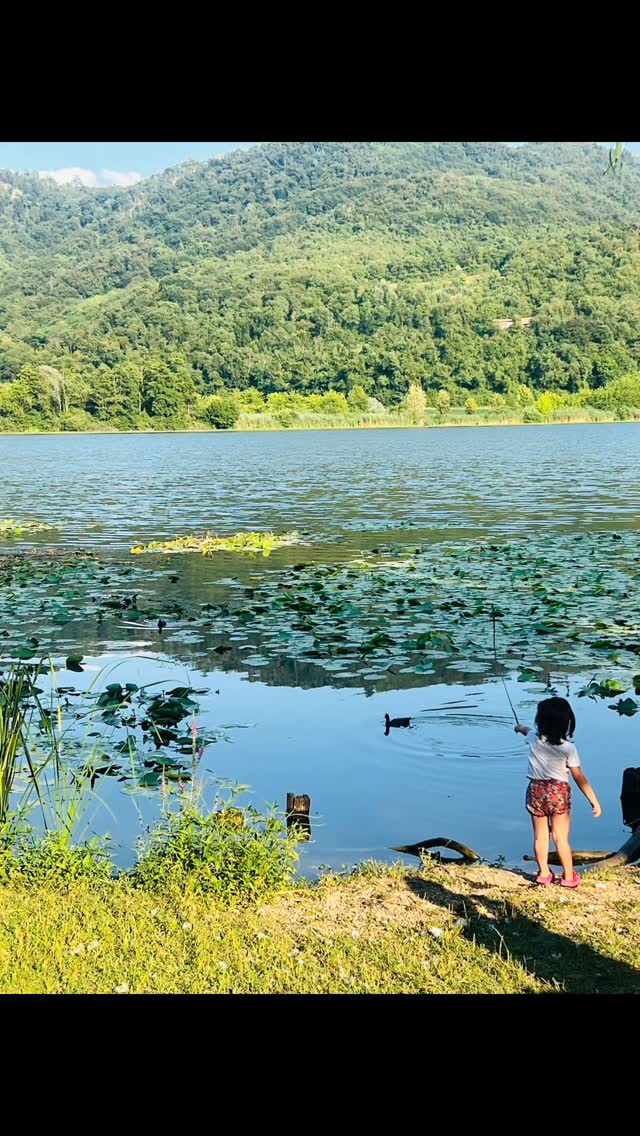 Our delicious Fimon Lake
(In the photos of our kind scottish visitor, Neil Wallace, thank you)
Il nostro delizioso Lago di Fimon
(nelle foto del nostro gentilissimo visitatore scozzese, Neil Wallace, grazie)
#palladianroutes #vicenza #berichills #colliberici #venetodascoprire venetolovers