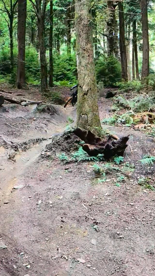 Brilliant day setting up Steve's race rig at Forest of Dean.
Spring rates give the optimal dynamic sag, with damping changes that improve the bike's ability to track the ground. This resulted in better grip consistency and traction, improving chassis stability and increasing rider confidence.
Data driven methods, with focused rider feedback and video analysis provide all the context needed for an effective Plan, Do, Check, Act feedback loop results in efficient progress and effective changes.
#datadrivendescents #engineeringspeed