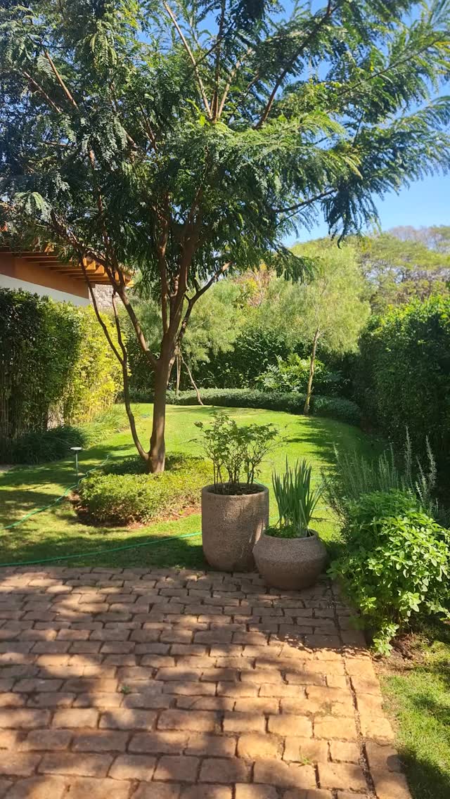 Antes de desenhar qualquer composição, Odilon procura entender como a casa se relaciona com a luz, quais percursos fazem parte da rotina e de que maneira a natureza pode integrar essa arquitetura.
O projeto nasce dessa leitura.
É ela que orienta cada escolha e permite que o jardim pareça pertencer ao espaço desde o início.