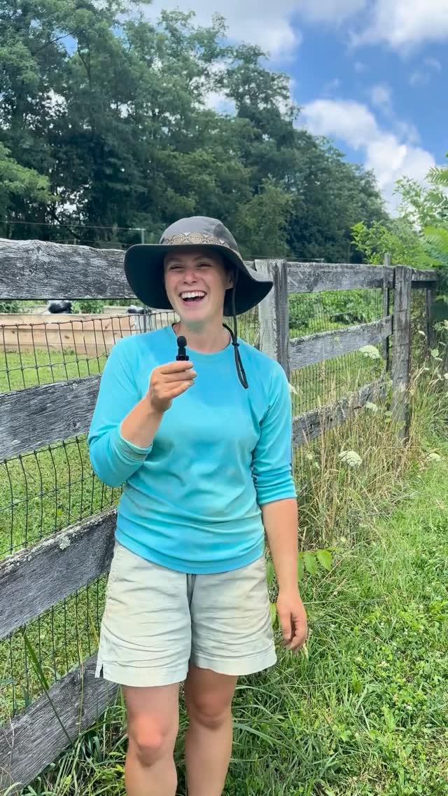 We’re so excited to introduce you to some of the farmers that make up our collective, starting first with @communitas_farm! We were so happy to chat with Shoshana in the field about the importance of climate-smart agricultural practices and get to know her journey into farming. 🥰