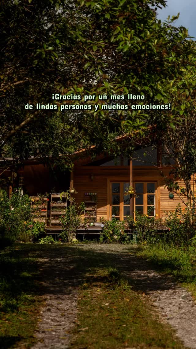 ¡Muchas gracias por elegir El Palmeral!
Informes y reservas:
WA 953 810 763
#oxapampa #cabañas #bañosdebosque #birding #avistamientodeaves
