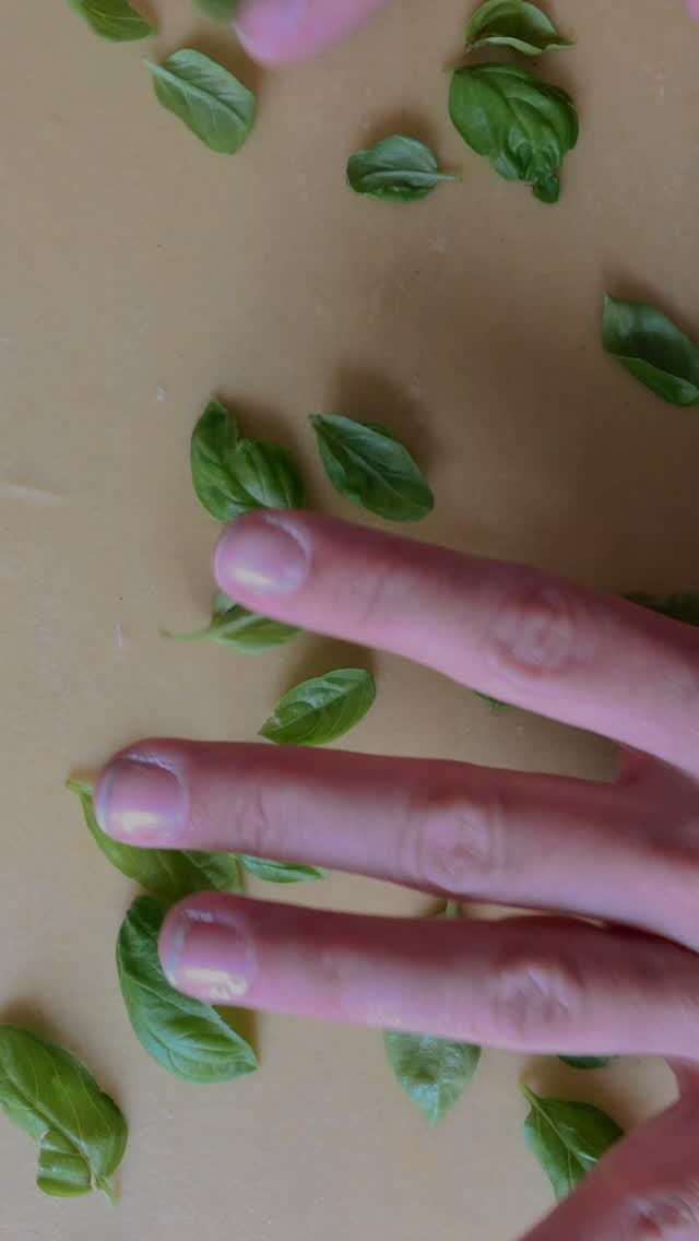 Herb lamination looks intimidating until you break it down — here’s the whole process in one go. Roll out two sheets of dough (I sheet them to setting 5 on the @marcatopasta atlas), layer whole basil leaves flat across one with a little space between each so they don’t overlap, then cover with the second sheet and press down gently with your hands to push out any air pockets. Feed it back through the machine, starting out at a thicker setting and then adjust to sheet it out thinner step by step. The thinner you go, the more stretched your herbs will become. Just be careful to stop before the pasta dough gets too thin and exposes the basil leaves. Don’t worry about getting it perfect. A slightly uneven first attempt still comes out looking beautiful, which is honestly one of the best things about this technique.
#laminateddough #basilpasta #pastafresca #homemadepasta