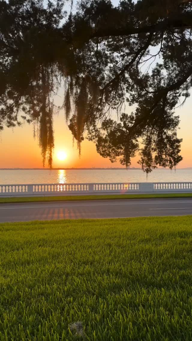 Only a few weekends of summer left in Tampa and we refuse to waste a single one of them. π
Between now and Labor Day, we're squeezing in every sunset, every market, every excuse to be outside before the season wraps.
Because at the end of the day, this is exactly why we love it here. Good weather, good food, and a whole city that knows how to make the most of it.
However you're spending your last few weekends of summer, make them count. π
#TampaSummer #TampaLife #TampaLocal #HomegrownRealty #TampaBayLiving