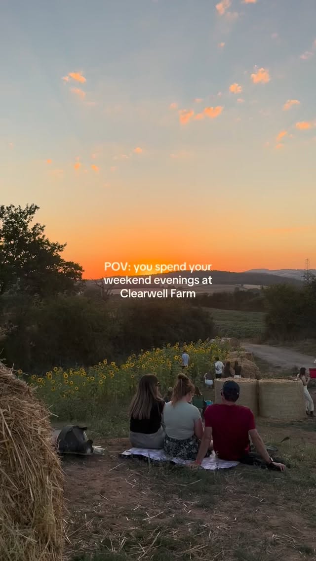 Cardiff! Do you need weekend plans?
📍Clearwell Farm
Open all weekend!
#thingstodoincardiff #cardiffhidengems #southwales #sunflowerfestival #cardiff