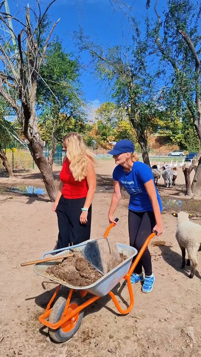 Die Schule hat wieder angefangen und was gibt es Besseres als einen Ausflug in die Natur mit lieben Bauernhoftieren🪿🐎🐄🐏🐑🐐🐃🐮🐇🦃🐔🐤🐓🦆🐕 Bei uns gibt es tolle Angebote für Schulen, Kitas und andere pädagogische und soziale Einrichtungen. Vom Tagesausflug, bis zur Projektwoche oder sogar wöchentlichen AGs, alles ist möglich. In Kooperation mit dem @traditionshof_stappert gibt es neben den tierischen Programmen auch Angebote wie "die tolle Knolle" oder "von der Saat zum Korn". Und das Beste: hierfür haben wir jetzt ein Buchungstool auf der Homepage 🍀☀️🥳#sindlingerglückswiese #tierschutz #tiergestütztepädagogik #foryoupage❤️❤️ #frankfurt