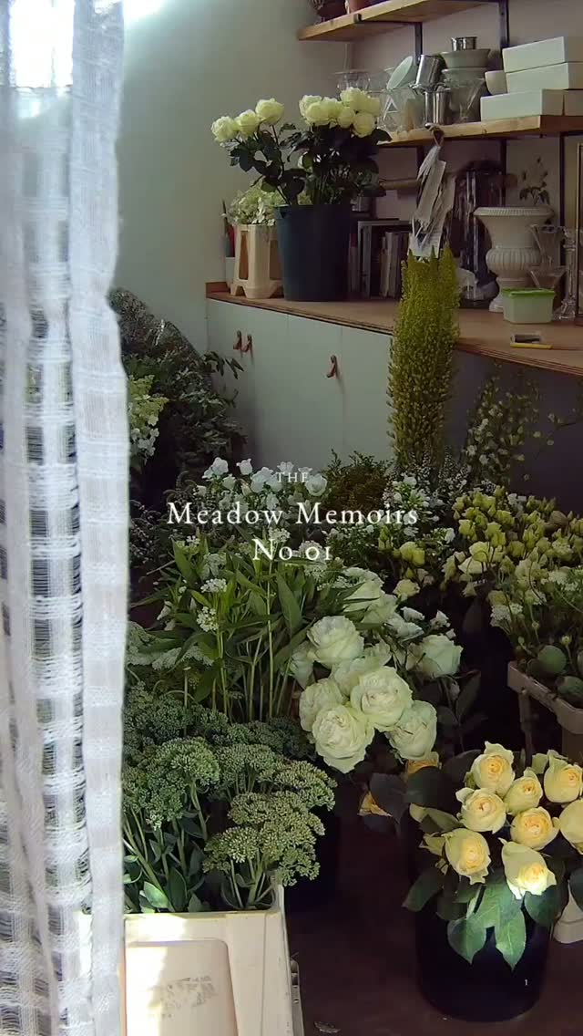 The Meadow Memoirs - No 01
A few little moments from the studio.
The moments between the bouquet. The flowers on the floor. The quiet moments before a wedding..
More memoirs to come
#marthaandthemeadow #themeadowmemoirs #behindtheflowers #stgileshouse #campsnap