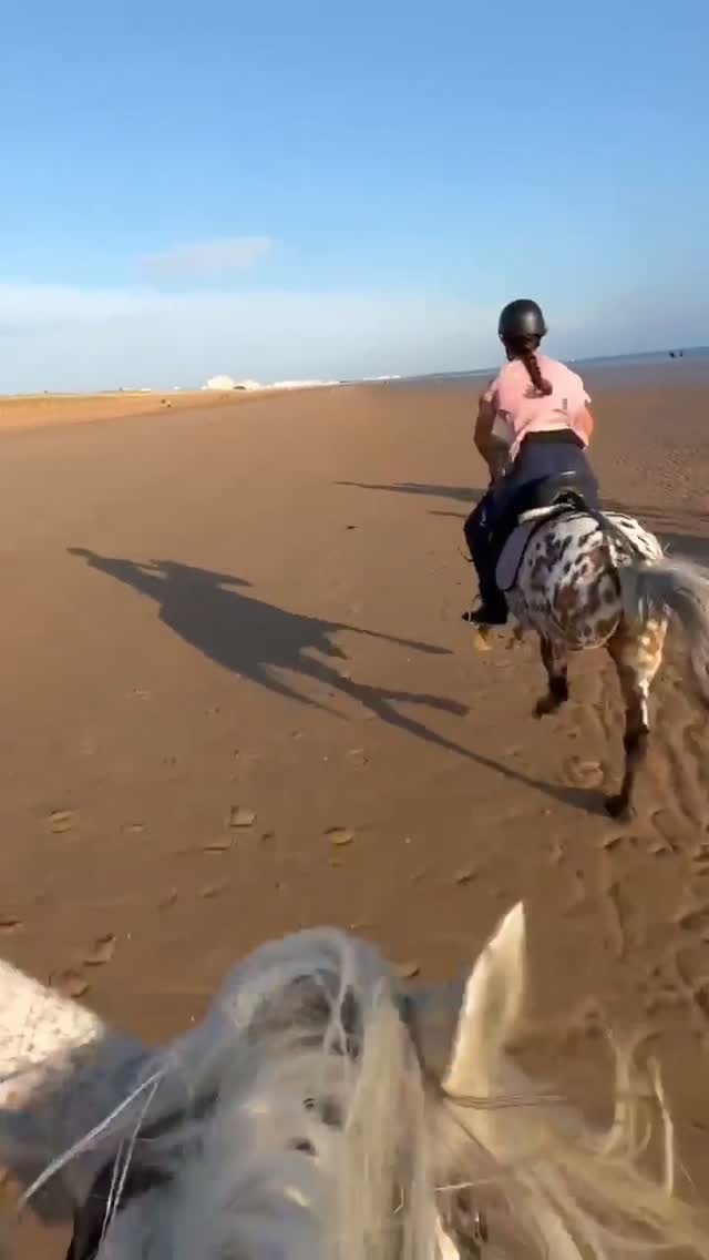 On l'a attendu depuis un an...
Et ce moment, on L'a savouré..
Non ce n'est pas le sable qui piquent les yeux, seulement Les larmes qui coulent de bonheur et de liberté...
La vie : c'est ça !
LES CRINS DE DERCE poney club
Virginie Dufresne
#bonheur
