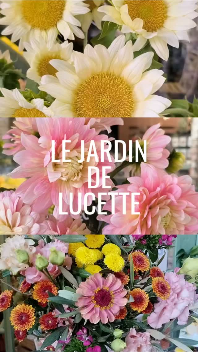 》Le Jardin de Lucette, Artisanes Fleuristes, 34 rue de la Concorde, 31000 Toulouse, du mardi au dimanche.