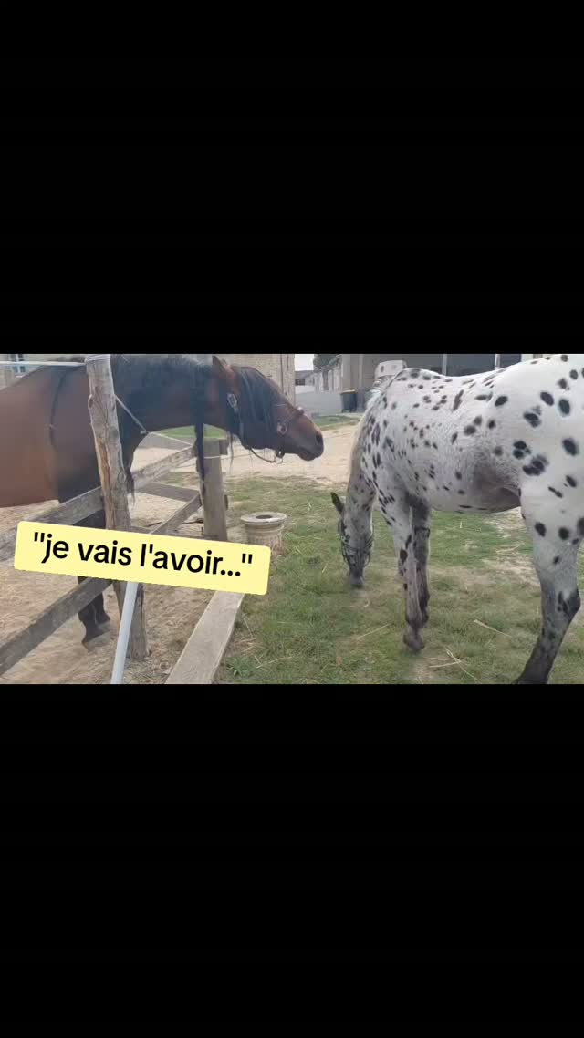 🤣🤣🤣🤣
