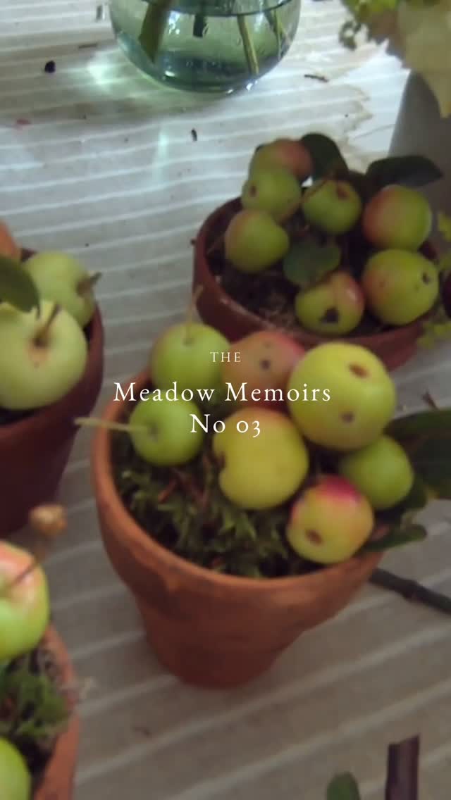 No 03
A beautiful seasonal wedding at The Pig on he Beach.
Flowers, foliage, apples galore... and a lovely feeling when it all comes together.
Planned by @bellissimoweddings
Vendor team.. @tomandlizzieredman @the_pig_hotels @tomharringtonfilms @cinemattag
#meadowmemoirs #marthaandthemeadow #dorsetweddingsupplier #dorsetweddingflorist #gardenstyleflowers