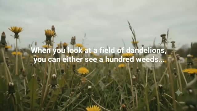 When you look at a field of dandelions, you can either see a hundred weeds or a hundred wishes.
Perspective shapes reality. What feels like an obstacle or an inconvenience often carries the seed of growth, clarity, and intention—it all comes down to where you choose to focus your energy.
What’s one thing in your life right now that you’re choosing to see with new eyes?
#PerspectiveShift #MindsetMatters #LawOfVibration #PositiveEnergy #InnerPeace MindfulLiving HigherConsciousness GrowthMindset GratitudeDaily
