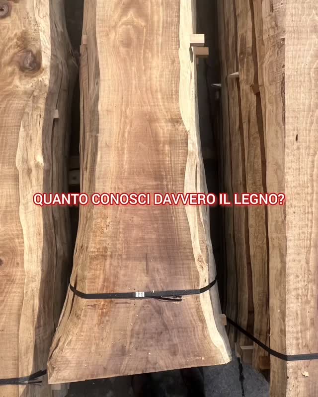 Scopri il primo articolo del nostro nuovo magazine
"DI LEGNO"
➡️ Link in bio