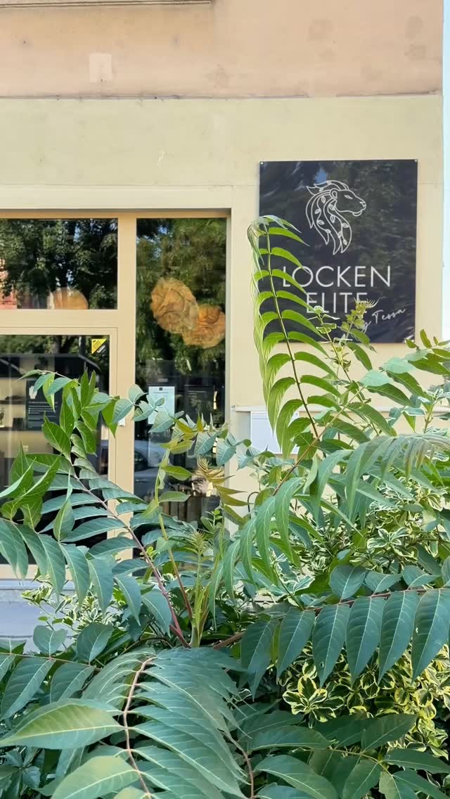 ✨ Ein Ort, an dem natürliche Schönheit Raum bekommt. ✨
Unser exklusiver Salon für naturbelassene Locken & Wellen befindet sich am Kinzerplatz 24 im grünen Herzen des 21. Bezirks in Wien. 🌿
Nur wenige Schritte von der wunderschönen Alten Donau entfernt, erwartet dich eine besondere Wohlfühloase – ruhig, persönlich und mit viel Liebe zum Detail. Hier dreht sich alles um deine natürliche Haarstruktur und darum, deine Locken und Wellen in ihrer schönsten Form zum Ausdruck zu bringen. 🥰
📍 Kinzerplatz 24, 1210 Wien
🚋 Mit der Straßenbahn 25 oder 26 bis zur Station Hoßplatz – von dort erreichst du uns in nur etwa 1 Minute zu Fuß.
🚗 Du kommst mit dem Auto? Kein Problem. Direkt vor unserem Salon findest du ausreichend Parkmöglichkeiten.
Wir freuen uns darauf, dich in unserer kleinen Locken-Oase willkommen zu heißen. ☺️🤍
Alle Informationen & Terminanfragen: lockenelite.at
#lockenelite #lockensalon #naturfriseur #lockenwien #wien
