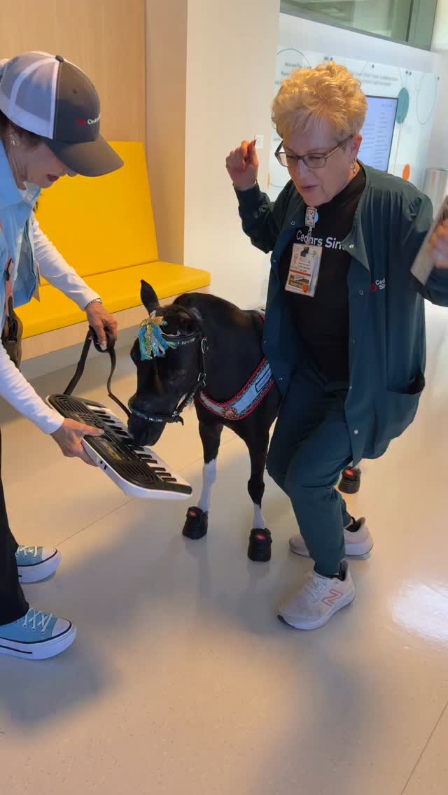 Our Guerin Pediatrics nurse at Cedars Sinai was dancing because Pearl was bringing so much love and comfort to the kids.🙏🏻💗👏🏼💃🐴 @cedarssinai @torrancememorial @equusfoundation @easycareinc @platinumperformance @calabasassaddlery @equinebalancedsupport @starmillingco #horse #minitherapyhorses #compassion #hope #love #healing #comfort @rose_parade #nonprofit