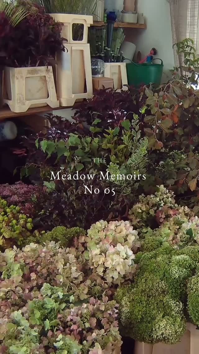 No 5.
A slice of Autumnal magic @stgileshouseweddings for L & N....
It may have rained all day... but it created the most gorgeous of snug environments for a beautiful wedding day.
#marthaandthemeadow #stgileshouse #dorsetweddingflowers #stgileshousewedding #dorsetflorist