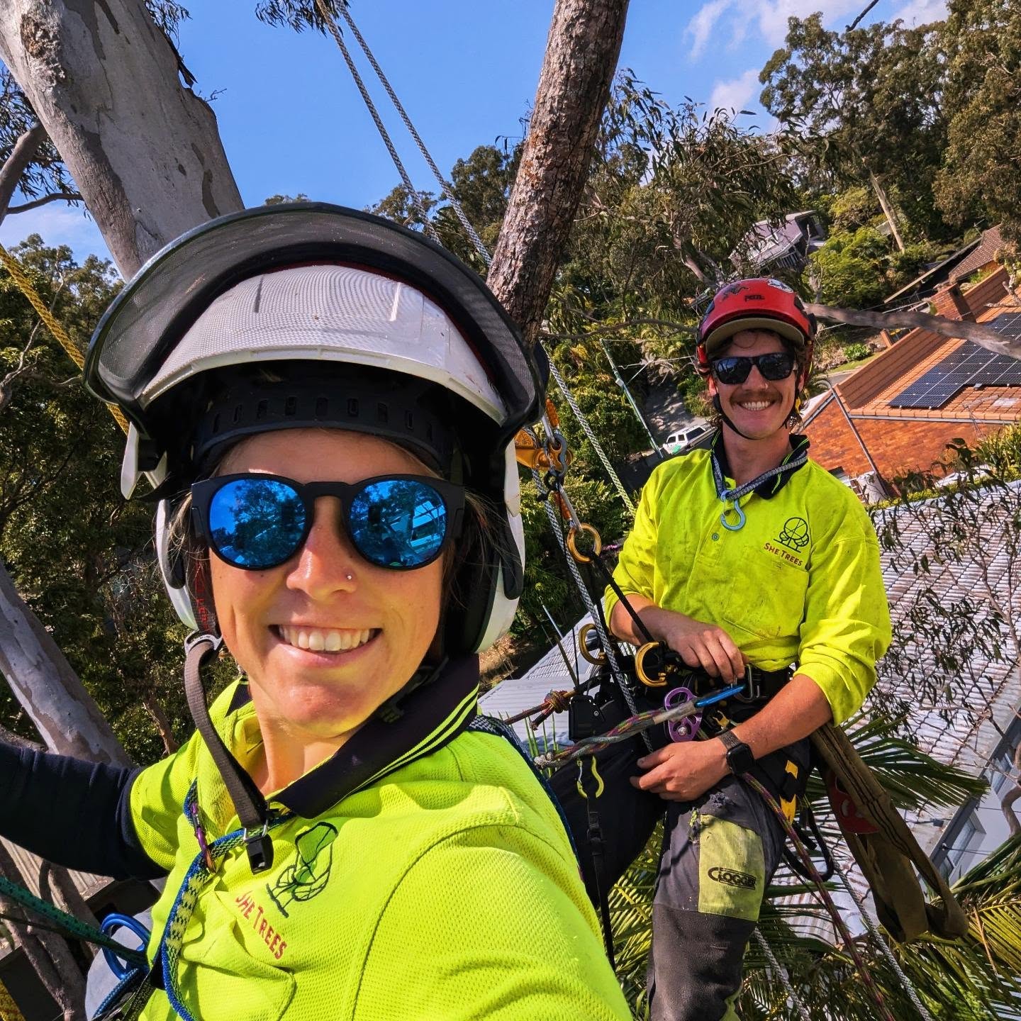 Not often there's two of us up a tree at the same time! Hello from the canopy! @brock_harding_ and I doing some deadwood pruning and a reduction prune in Burleigh on a blue sky day in Burleigh 😁🌳🧗🏼🍃