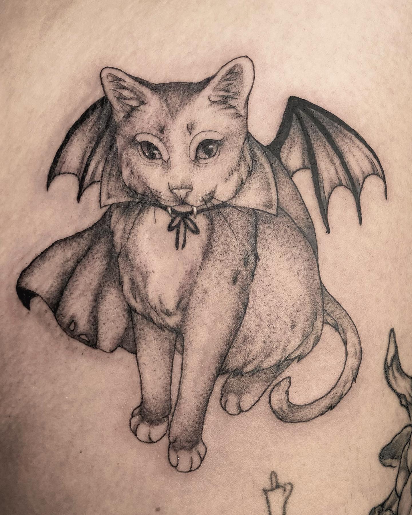 Kitty vampire from this past convention 🩸🐱🩸all that’s left on this flash sheet is the garlic ❣️